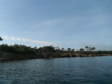 Porquerolles, côte nord